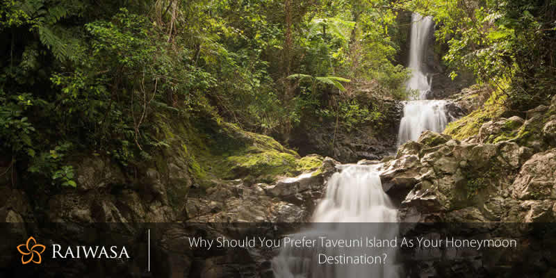 Why Should You Prefer Taveuni Island As Your Honeymoon Destination Why Should You Prefer Taveuni Island As Your Honeymoon Destination